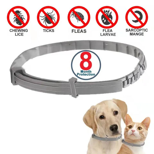 Dog Anti Flea And Tick Collars - Pets & Kidz