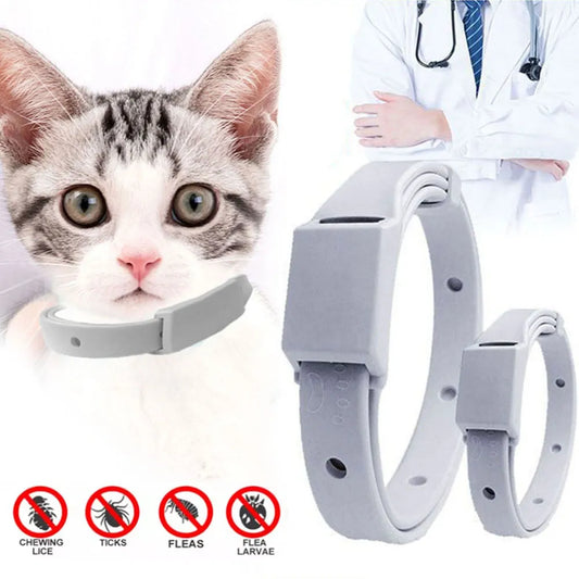 Anti Flea Tick Collar For Cat Small Dog Antiparasitic 8Month Protection - Pets & Kidz